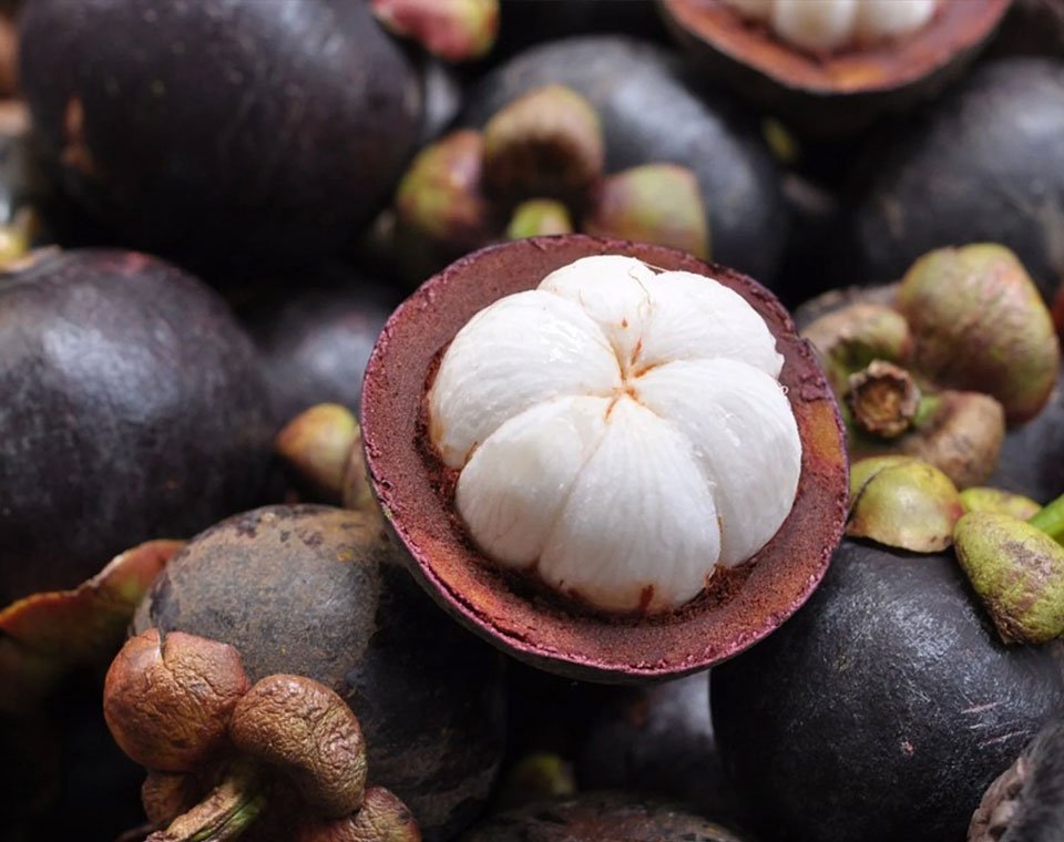 Mangosteen