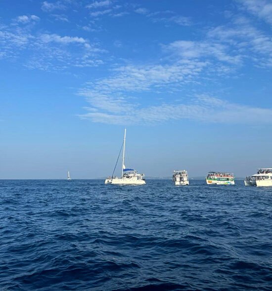 Whales Watching Mirissa